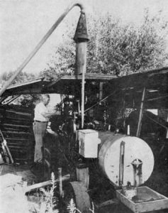 HISTORY OF THE KITTEN Image